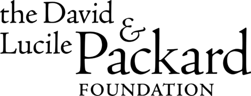 packard stacked logo black type transparent bkgd for Microsoft